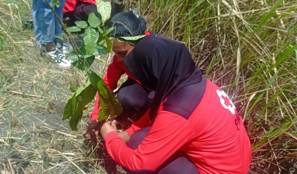 WhatsApp Image 2025 02 25 At 13.53.07 (1)